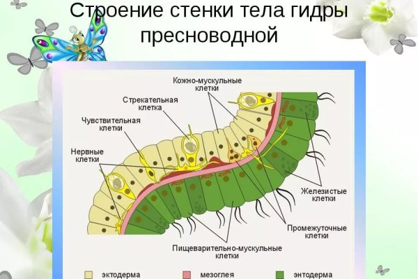 Почему в кракене пользователь не найден